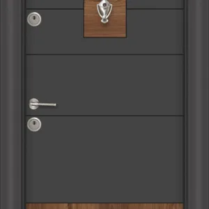 L 302 Антрацит сарухан