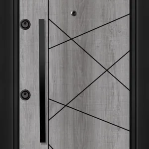 Входна врата 37