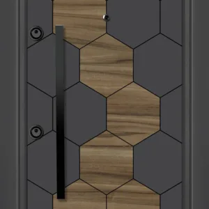 Входна врата 39