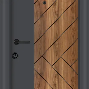 Входна врата 41